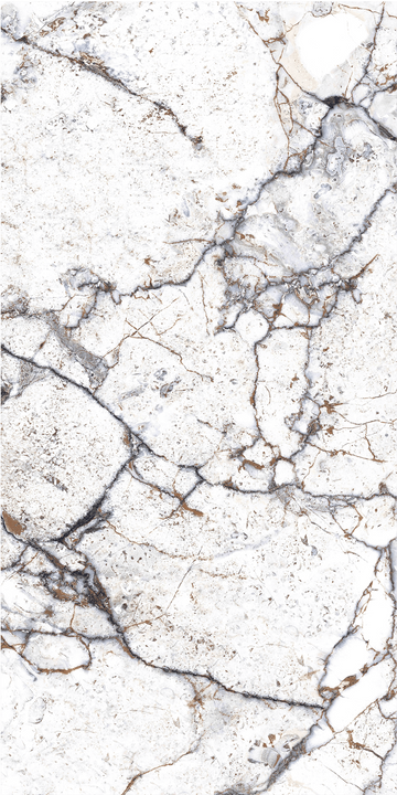 Carrelage sol / mur effet marbre STRATO l.60X L.120 cm LAPPATO LIMCARO