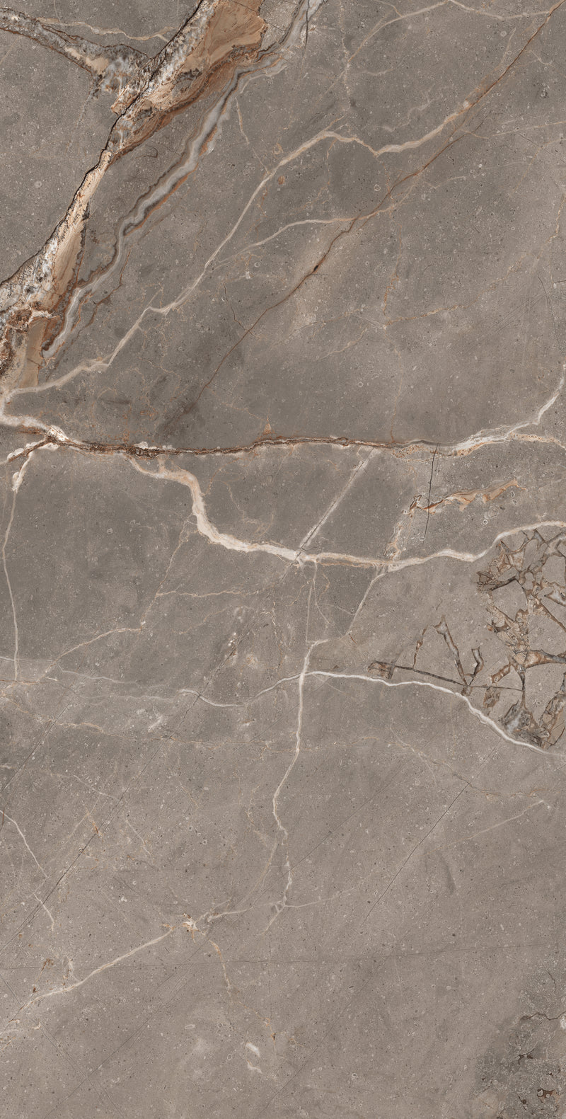 Carrelage sol / mur effet marbre MADRAN MINK l.60 x L.120 cm Mat LIMCARO