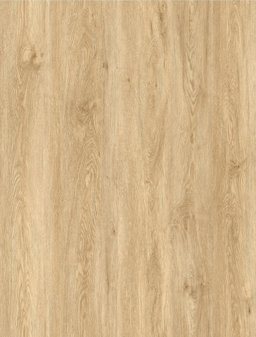 Sol SPC clipsable effet chêne blond doré OSLO 6,5 mm IXPE intégrée LIMCARO