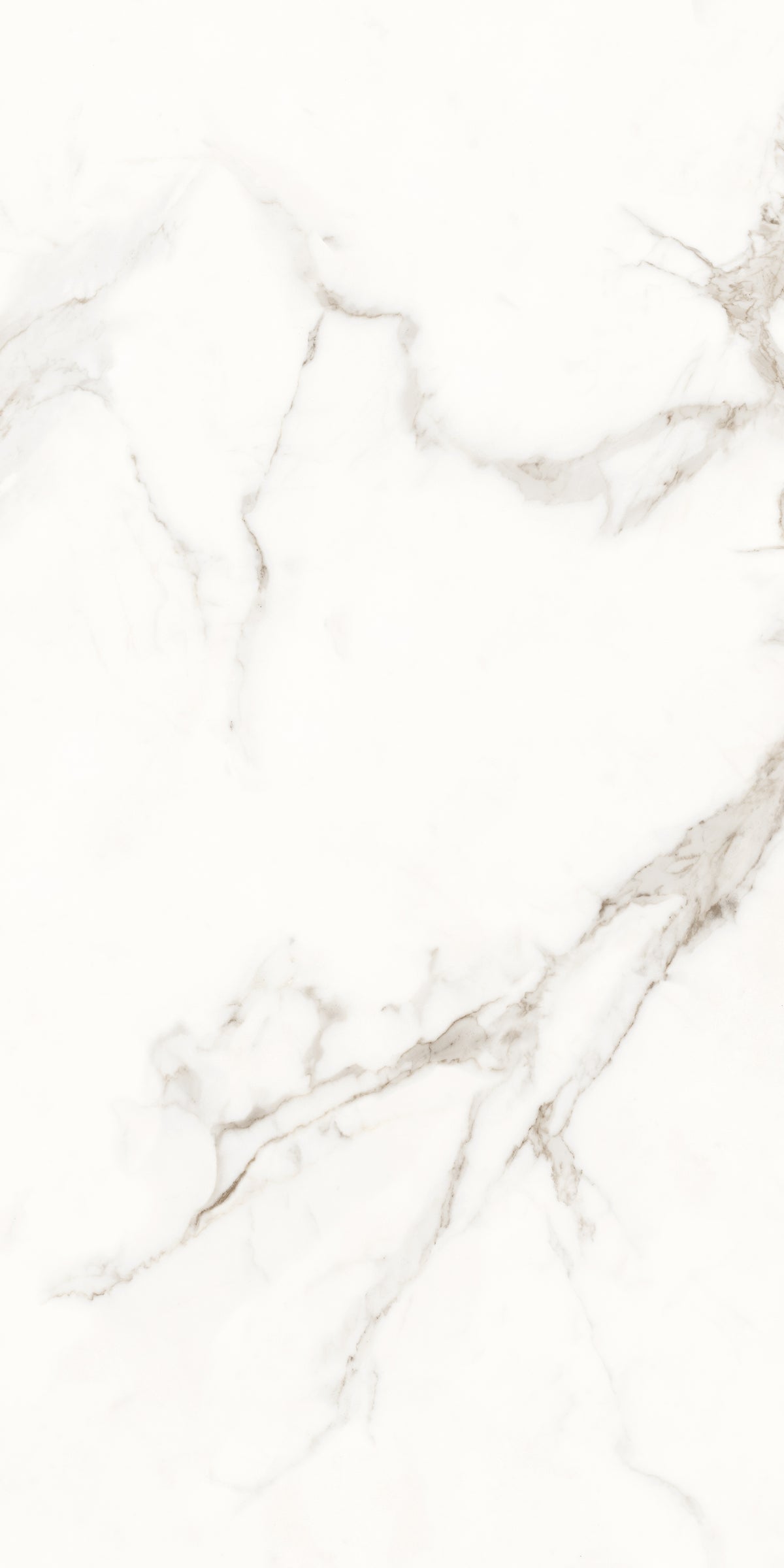 Carrelage sol / mur effet marbre ROME STATUARIO l.60 x L.120 cm  Brillant LIMCARO