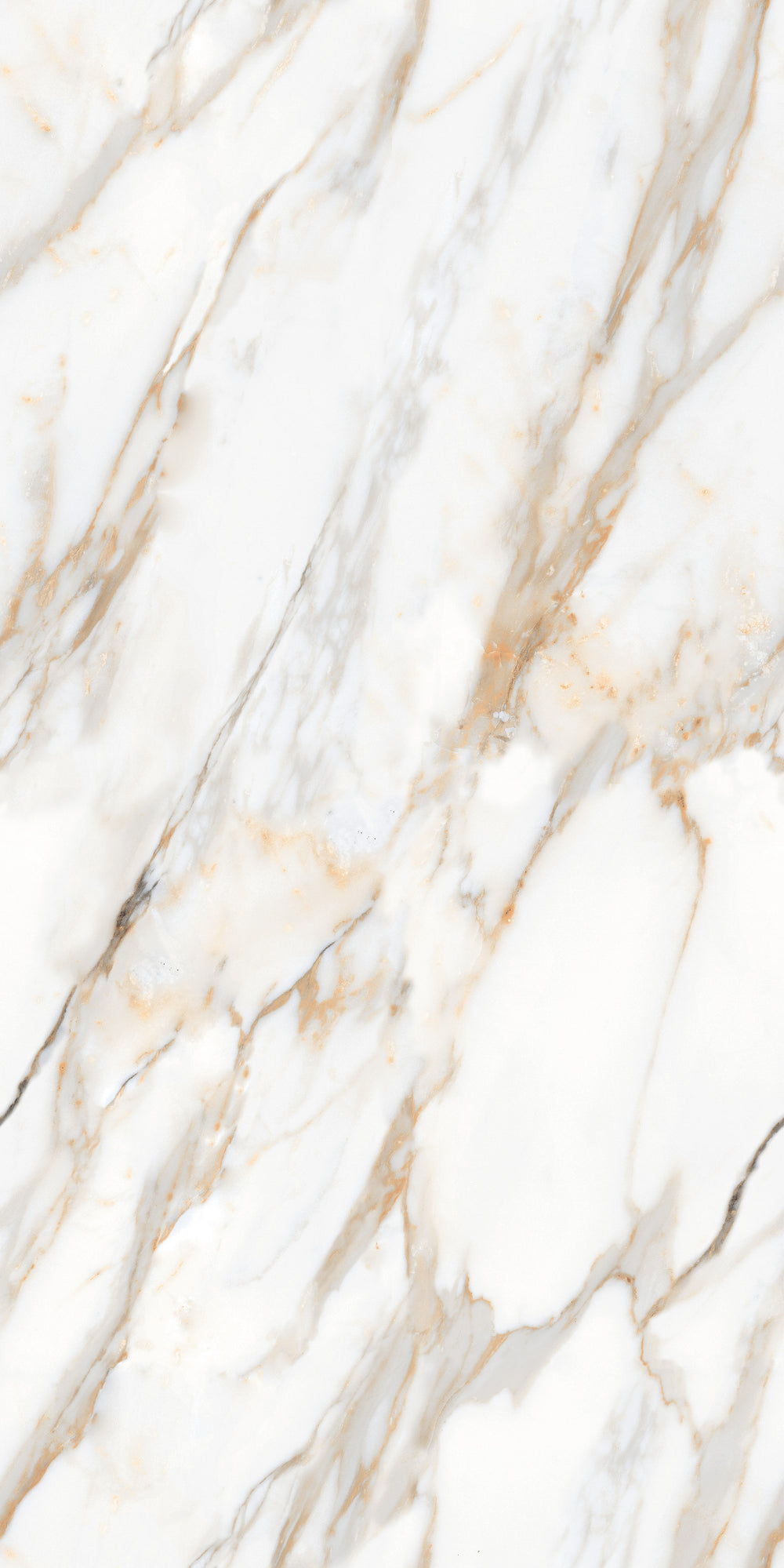 Carrelage sol / mur effet marbre ZEBRINO GOLD  l.60X L.120 cm Brillant LIMCARO