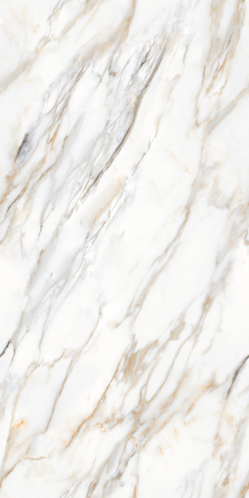 Carrelage sol / mur effet  ZEBRINO GOLD  l.60X L.120 cm Glossy LIMCARO