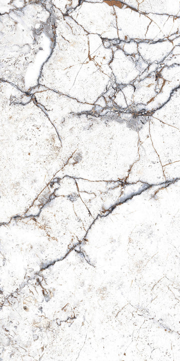 Carrelage sol / mur effet marbre STRATO l.60X L.120 cm Brillant LIMCARO