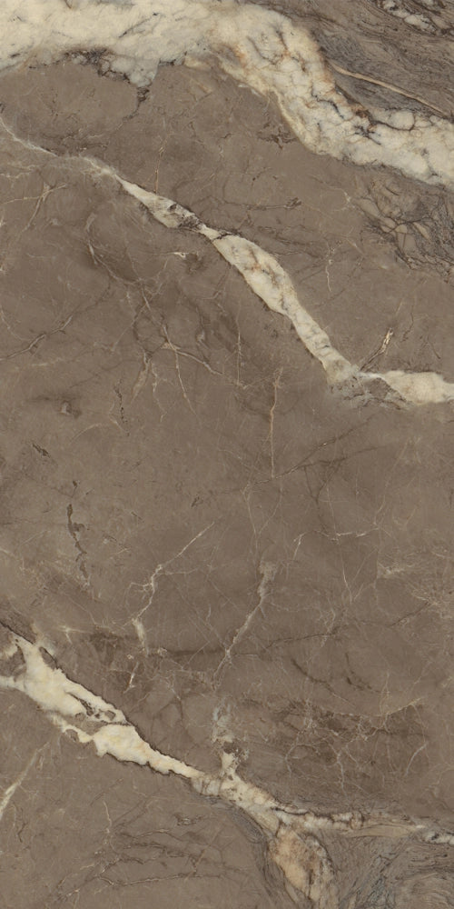 Carrelage sol / mur effet marbre BERRY BROWN l.60 x L.120 cm Brillant LIMCARO