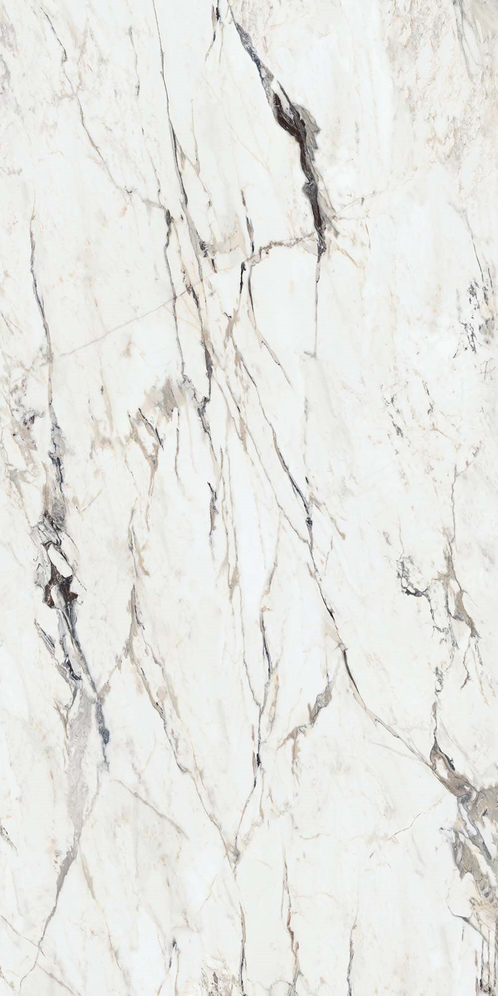 Carrelage CALACATTA CAPRAIA l.160 X L.320 X 1.2 cm MAT LIMCARO - LIMCARO FRANCE