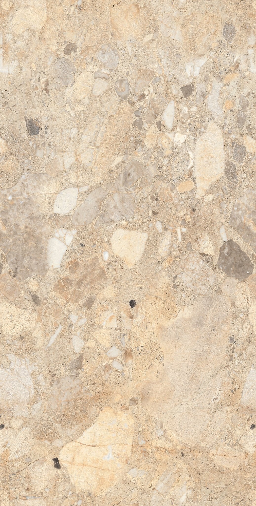 Carrelage sol / mur effet BRIZEIT BEIGE l.60X L.120 cm Glossy LIMCARO - LIMCARO FRANCE